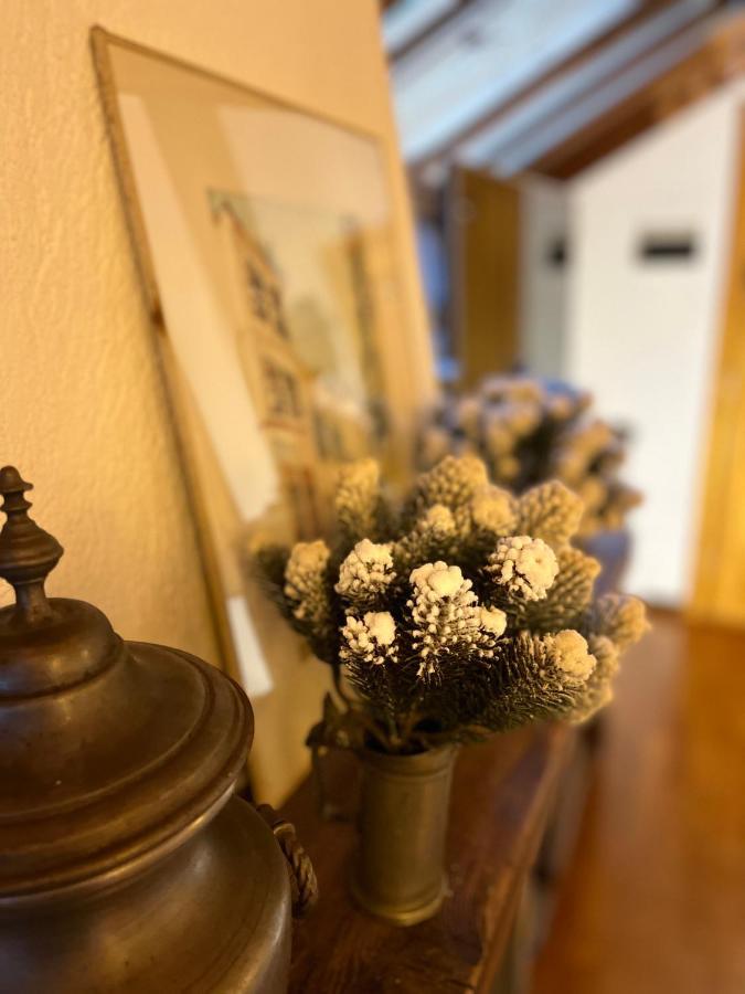 Chalet Blanc "La Mansarda" Курмайор Екстериор снимка